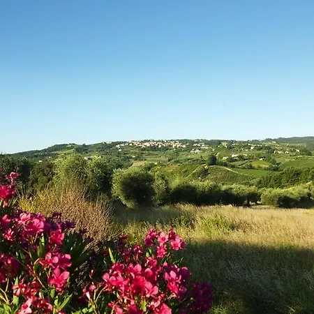 Fattoria Primavera Gambassi Terme